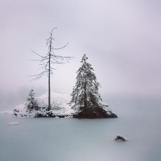 Hintersee | Different View of a bavarian lake III