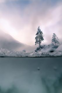 Hintersee | Different View of a bavarian lake IV