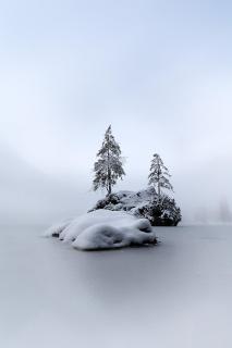 Hintersee | Different View of a bavarian lake V