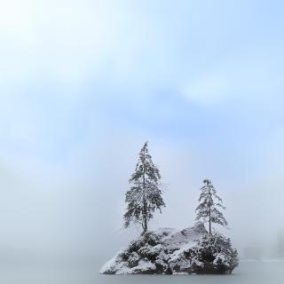 HIntersee | Different View of a bavarian lake VI