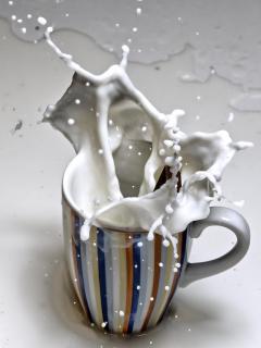 Schokoladenstück fällt in Tasse mit Milche