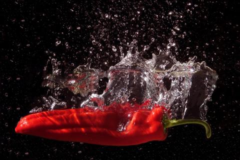 Chillischote fällt ins Wasser