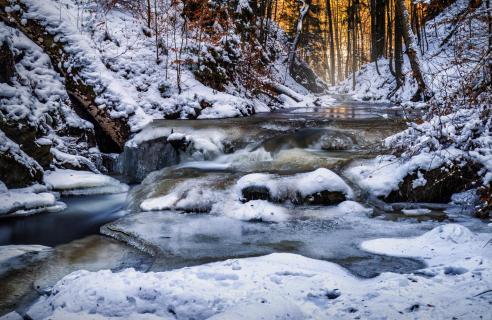 Dresdner Heide im Winter