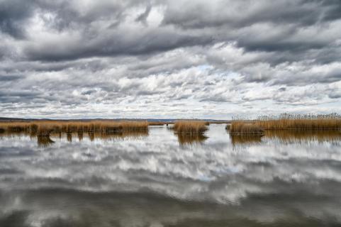 Neusiedlersee