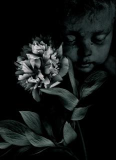 in dieser Stille...