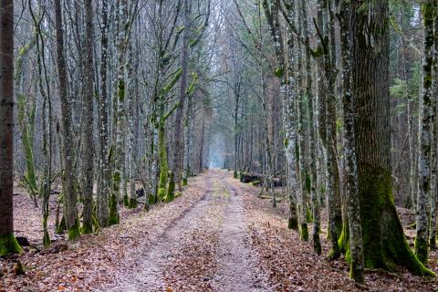 Licht am Ende des Tunnels