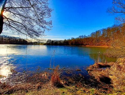 Holzmaar