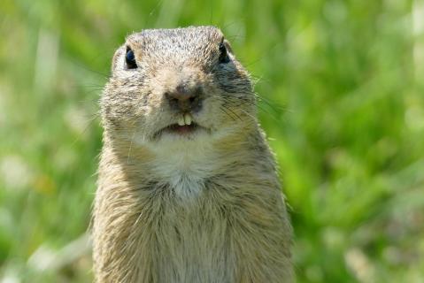 Was guckst du?