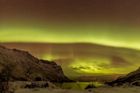 Polarlicht über Fjord