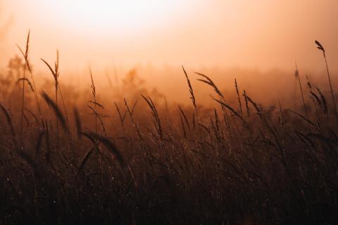 Herbstlicher Sonnenaufgang