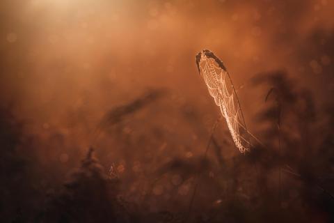 Herbstmomente