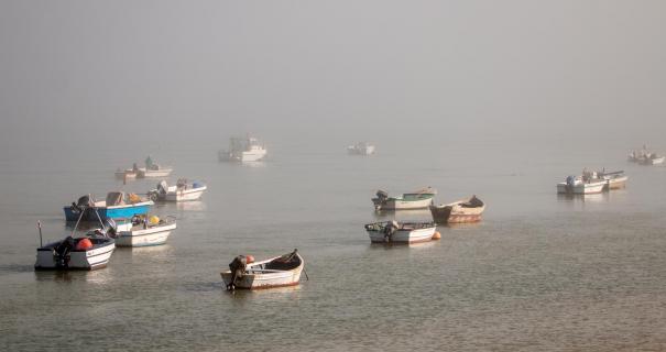 Boote im Nebel