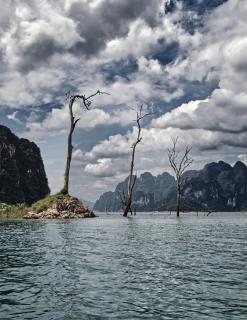 Khao Sok Threes