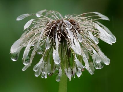 vom Regen erwischt