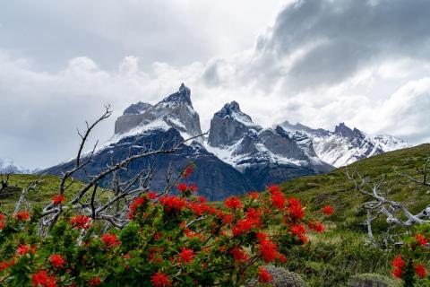 Cuernos del Paine