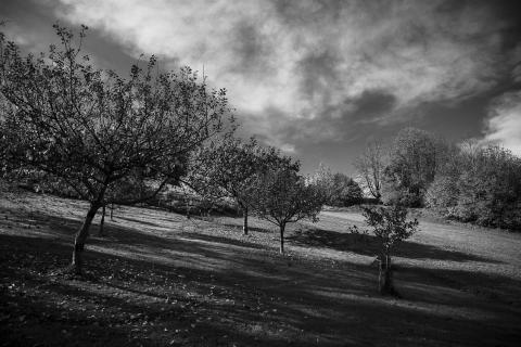 Herbst in_Ennsedt_1