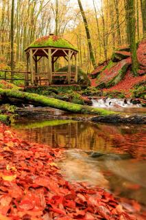 Karlstalschlucht im Herbst 