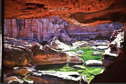 Crocodile-Rock