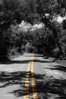Florida Road