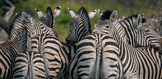 Relaxing.Stripes