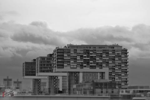 Kranhäuser in Köln 