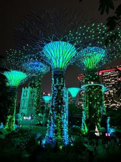 Supertree