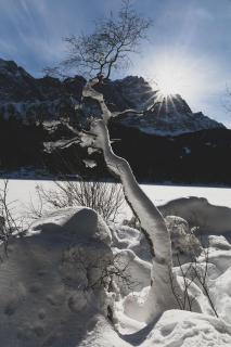 Die Zugspitze