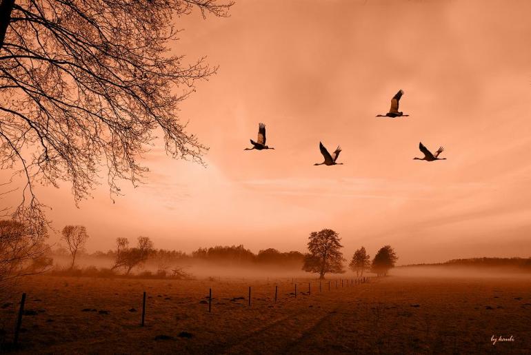 Sehnsucht Deutschland - Fotowettbewerb