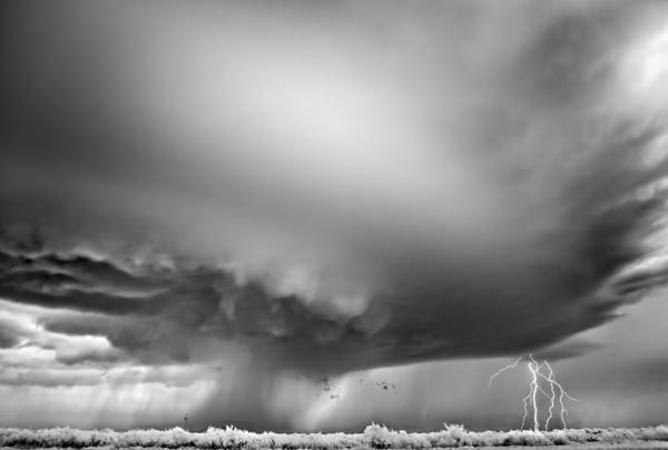 Sony World Photography Awards 2012 – Die Gewinner
