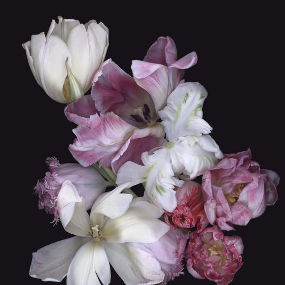 Luzia Simons, Stockage 104 (2010), Scannogramm, light jet print/diasec, 100 x 100 cm