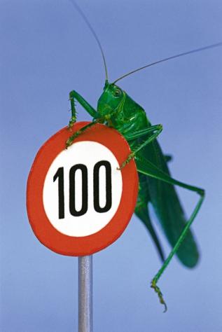 Die ISO-Zahlen der Kamera