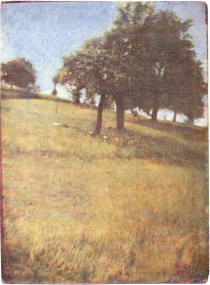Wiese mit Bäumen, 1897