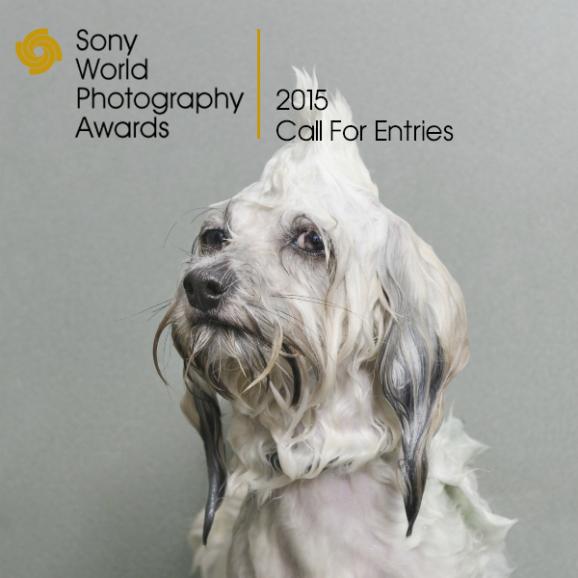 Call for entries 2015!