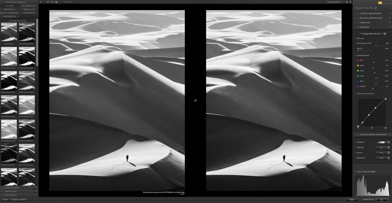 Schnell, einfach zu bedienen, aber detailliert steuerbar: Silver Efex Pro ist eines der besten Tools für die Konvertierung von Digitalfotos zu überzeugenden Schwarzweiß-Bildern