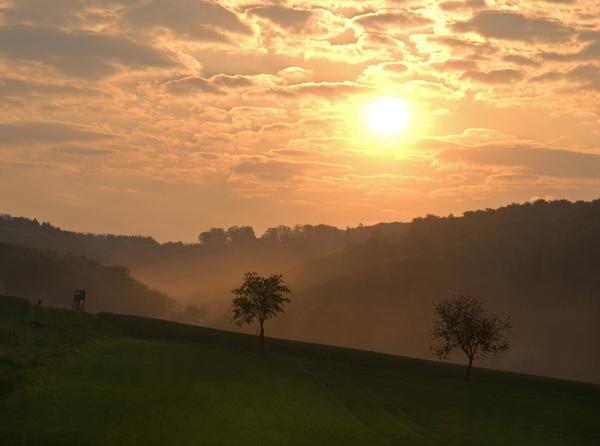 Fotoauftrag „Gegenlicht“