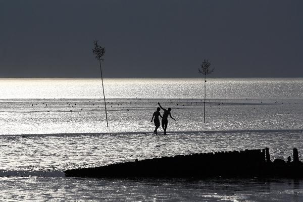 Fotoauftrag „Gegenlicht“