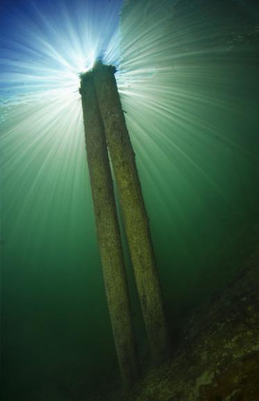 Fotoauftrag „Gegenlicht“