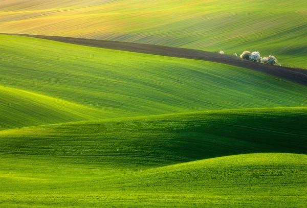 Sony World Photography Awards