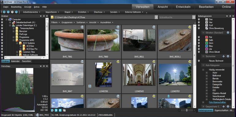 ACDSee Pro 6 - Verwaltungsansicht