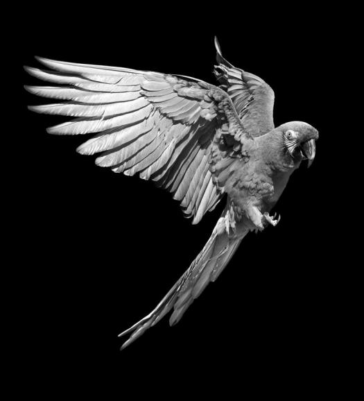 Fotowettbewerb „Black & White“ – Die Gewinner