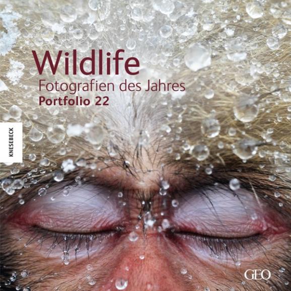 Wildlife Fotos des Jahres 2012