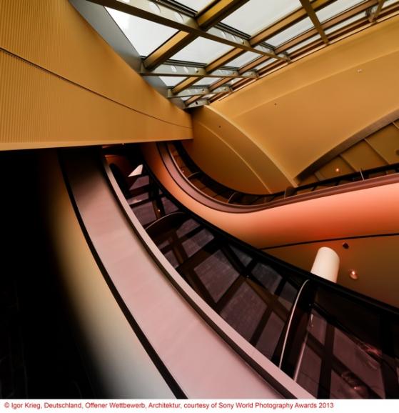 Sony World Photography Awards 2013