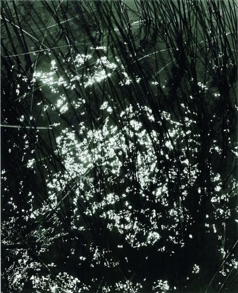 Glitter, Searsmont, Maine (shimmer), 1992-94 Silbergelatineabzug / Courtesy Estate of Rudy Burckhardt and Tibor d