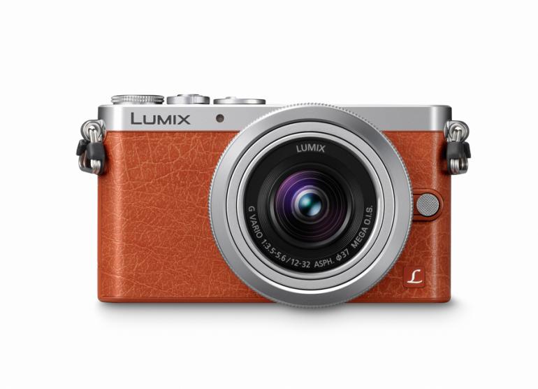 LUMIX GM1