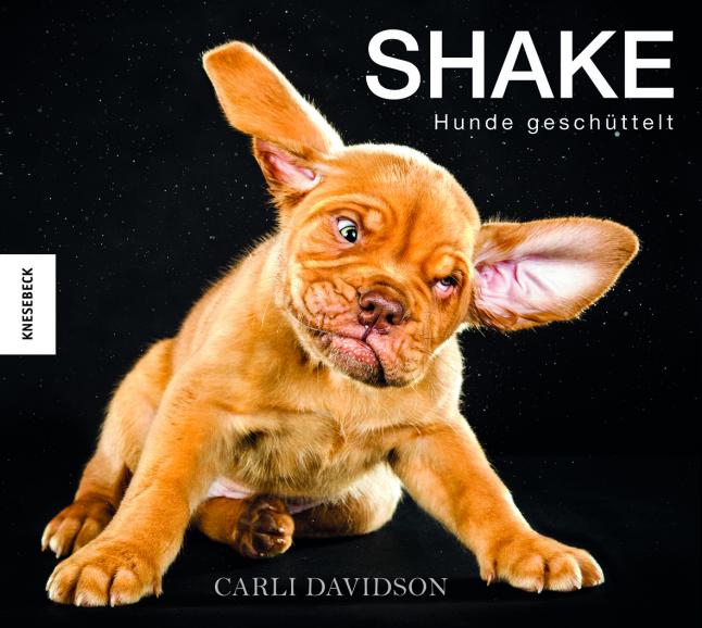 Shake, Knesebeck 