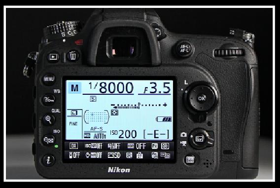 Nikon D7100