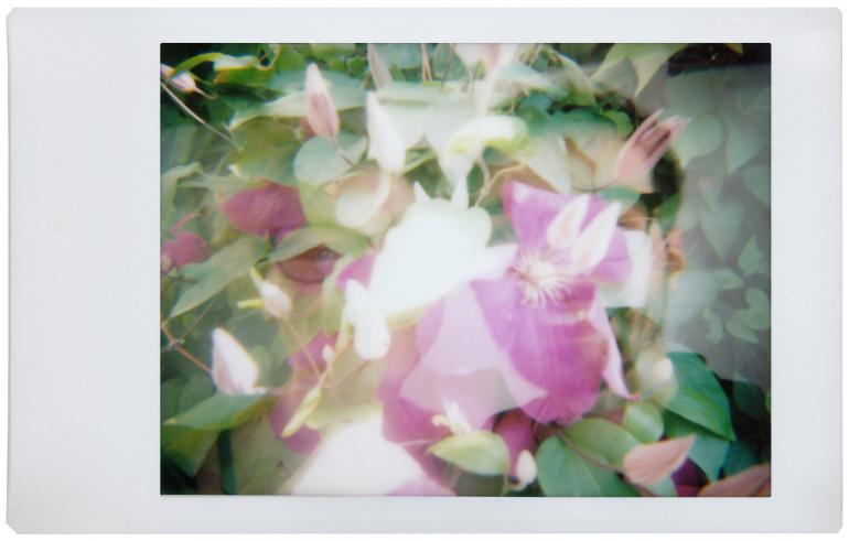 Lomo'Instant - Beispielbild 2 (Mehrfachbelichtung)