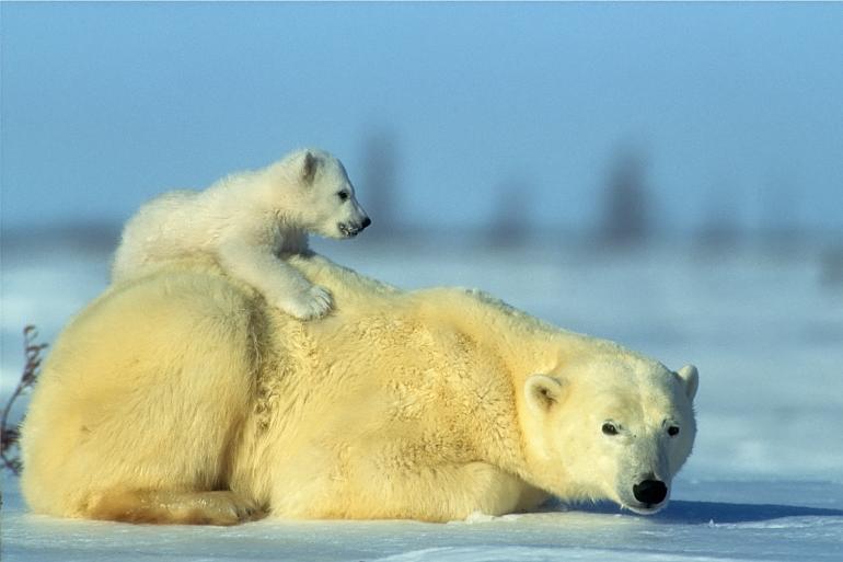 Unsere schöne Erde – 2. Nordhessische Naturfototage