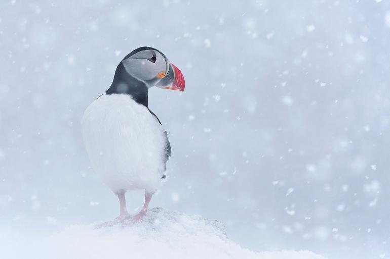 Unsere schöne Erde – 2. Nordhessische Naturfototage