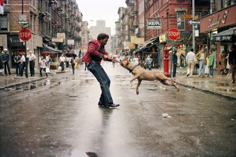 Man and Dog, the Lower East Side, New York, 1980